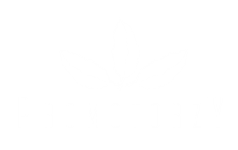 logo_promotorzy